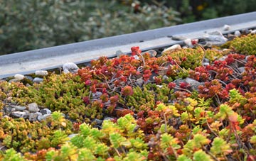 the cost of Higher Ashton green roof installation