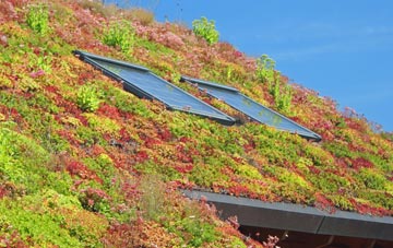Higher Ashton living roof systems